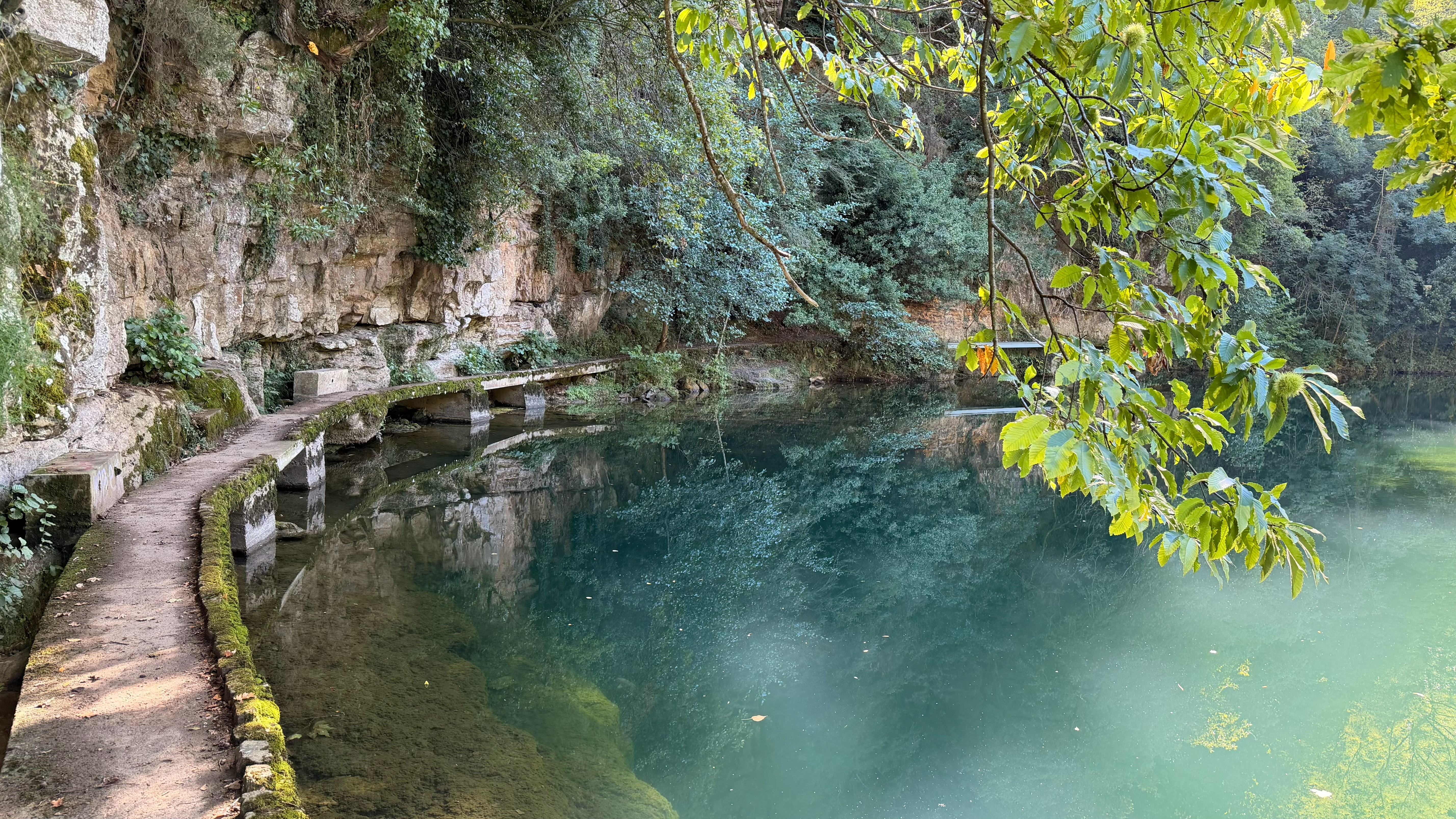 Bosque de ribera del Coto Cuende