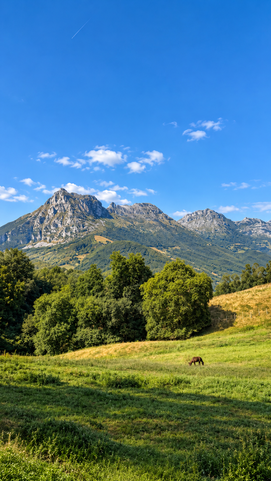 Paisaje rural desde Guardamino